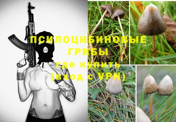 мдпв Пересвет